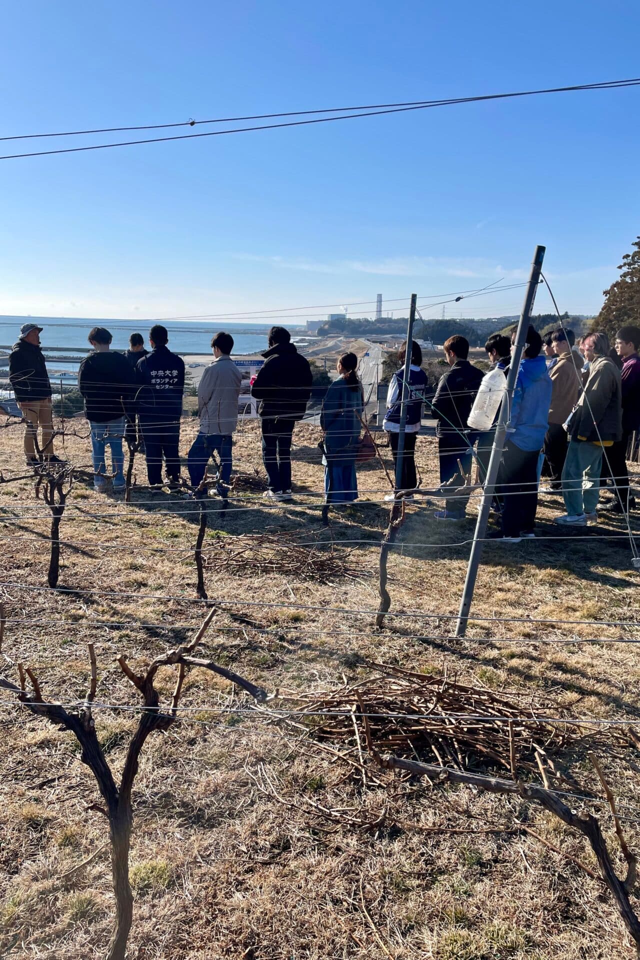 作業体験オプション